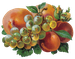 Цветы в PNG