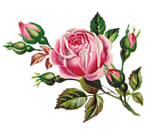 0_bd559_9f06de93_S (150x130, 30Kb)